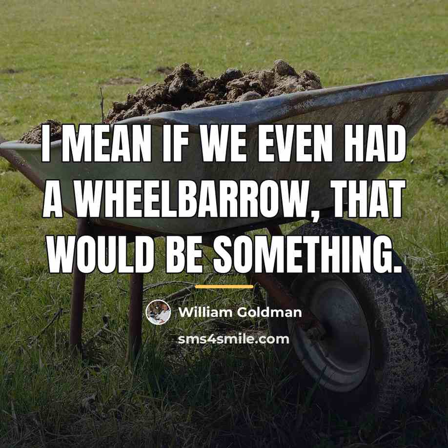 “I mean if we even had a wheelbarrow, that would…” quote by William Goldman