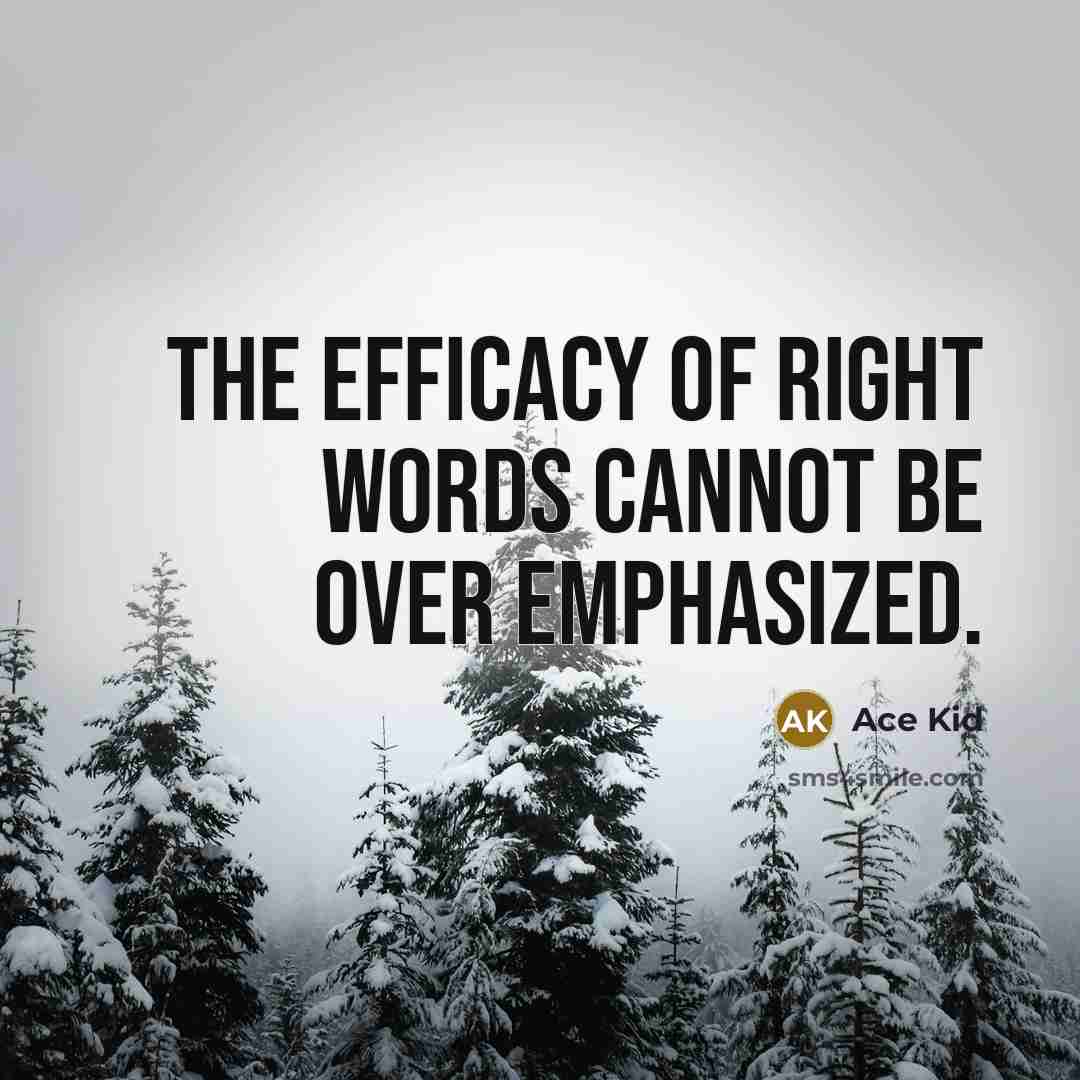 “The efficacy of right words cannot be over emphasized.” quote by Ace Kid
