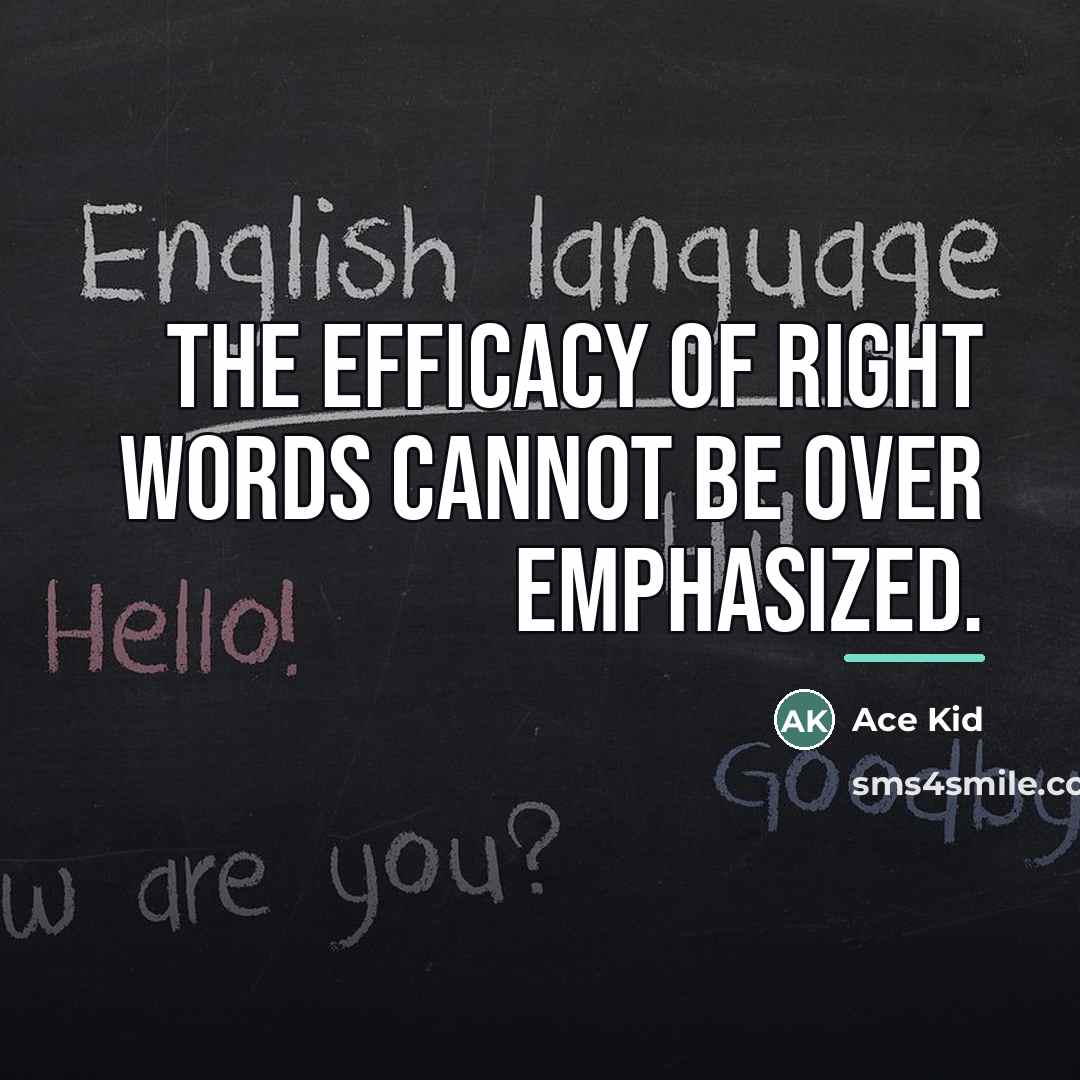 “The efficacy of right words cannot be over emphasized.…” quote by Ace Kid