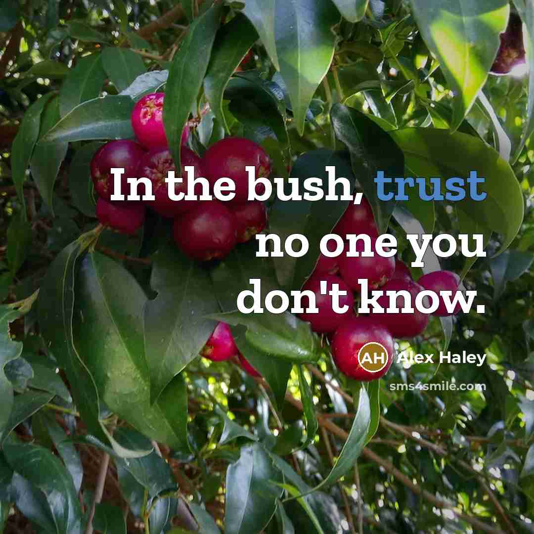 “In the bush, trust no one you don't know.” quote by Alex Haley