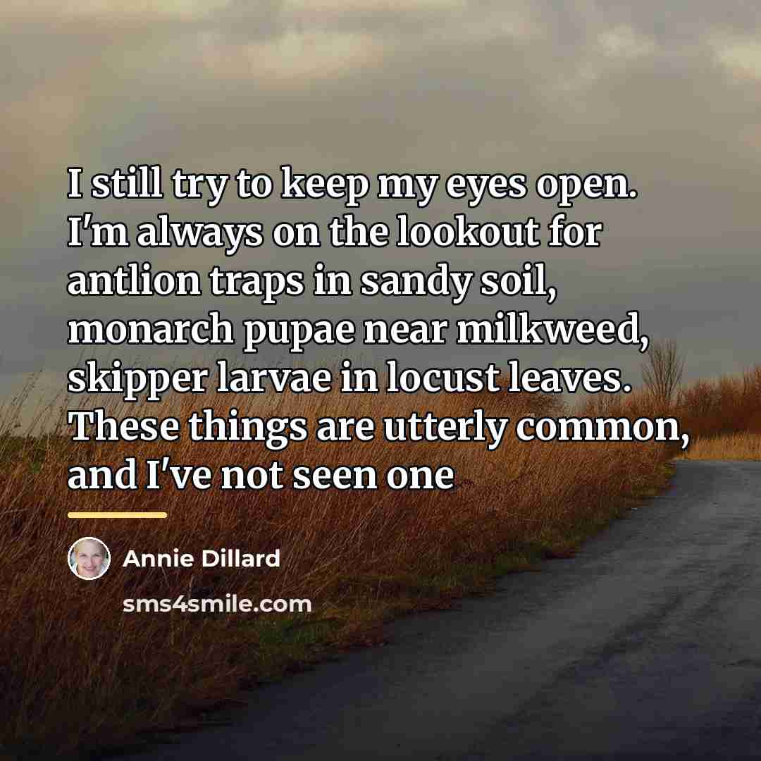 “I still try to keep my eyes open. I'm always…” quote by Annie Dillard