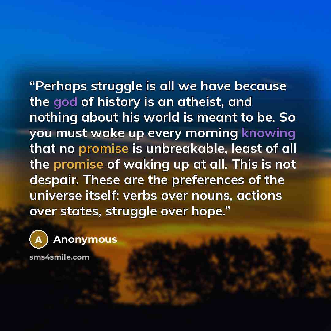 “Perhaps struggle is all we have because the god of history is an atheist, and nothing about his world is meant to be. So you must wake up every morning knowing that no promise is unbreakable, least of all the promise of waking up at all. This is not despair. These are the preferences of the…” quote by Anonymous
