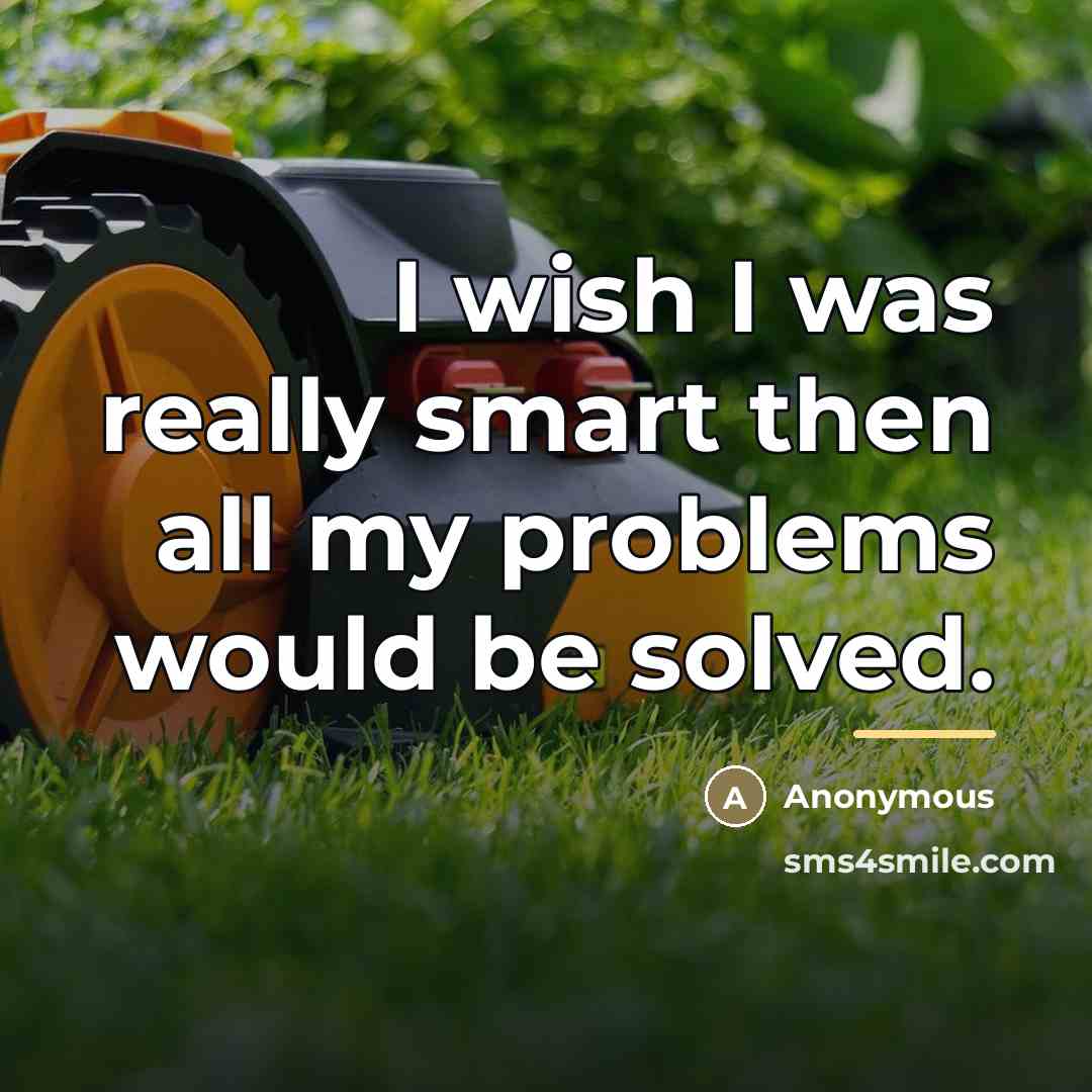 “I wish I was really smart then all my problems…” quote by Anonymous