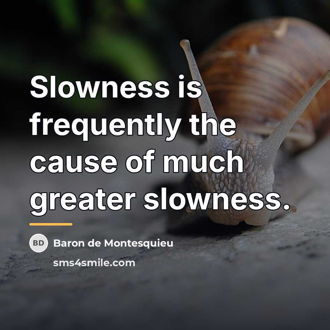 “Slowness is frequently the cause of much greater slowness.…” quote by Baron de Montesquieu