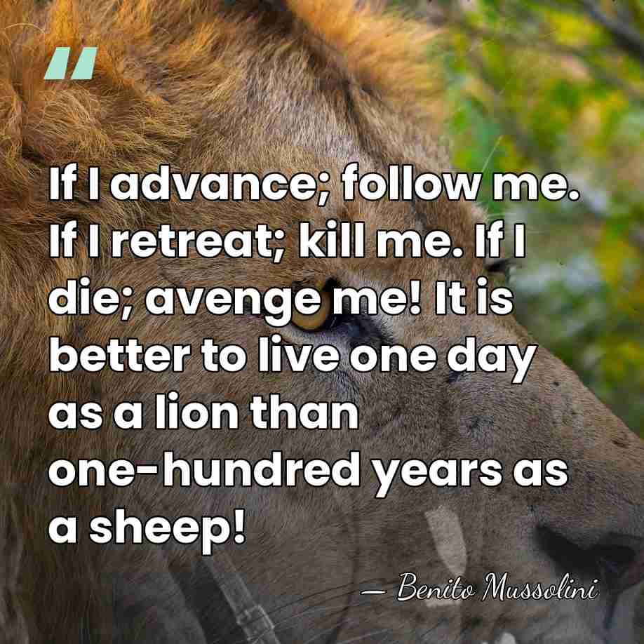 If I advance; follow me. If I retreat; kill me. If I&hellip; - Benito Mussolini