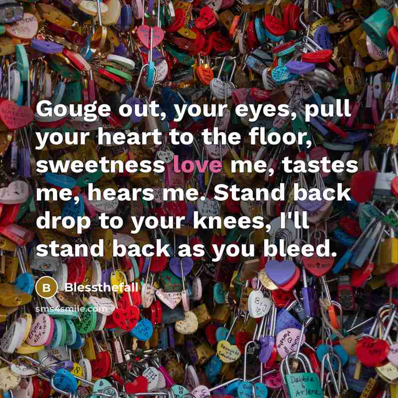 “Gouge out, your eyes, pull your heart to the floor, sweetness love me, tastes me, hears me. Stand back drop to your knees, I'll stand back as you bleed.” quote by Blessthefall