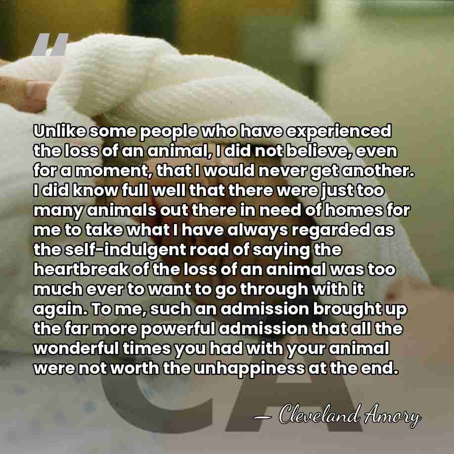 Unlike some people who have experienced the loss of an animal, I&hellip; - Cleveland Amory