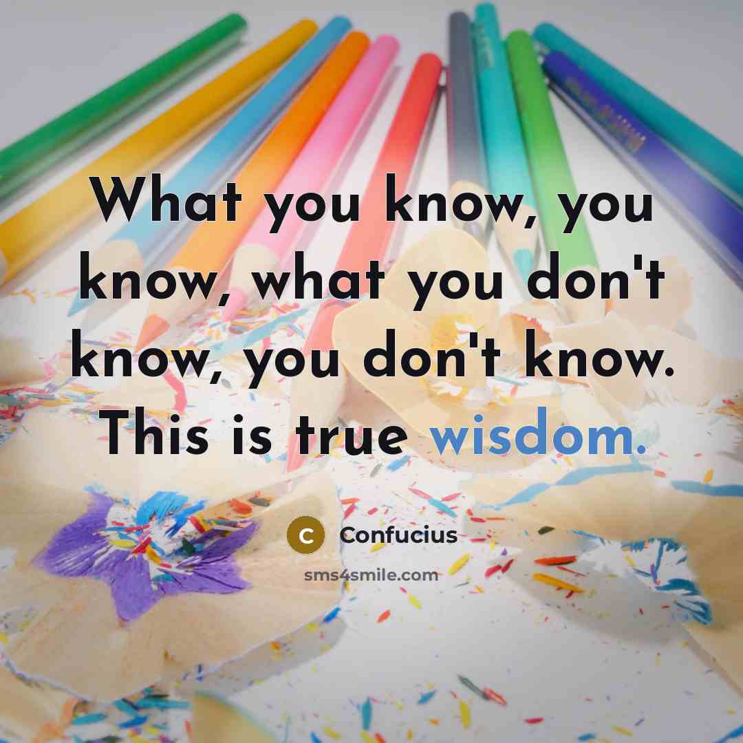 “What you know, you know, what you don't know, you…” quote by Confucius
