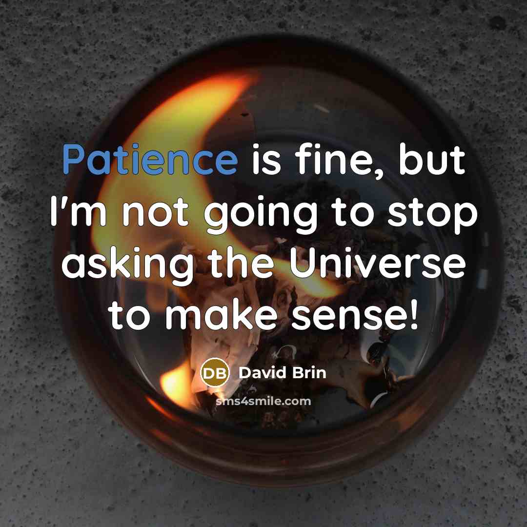 “Patience is fine, but I'm not going to stop asking…” quote by David Brin