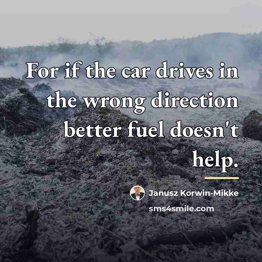 “For if the car drives in the wrong direction better…” quote by Janusz Korwin-Mikke