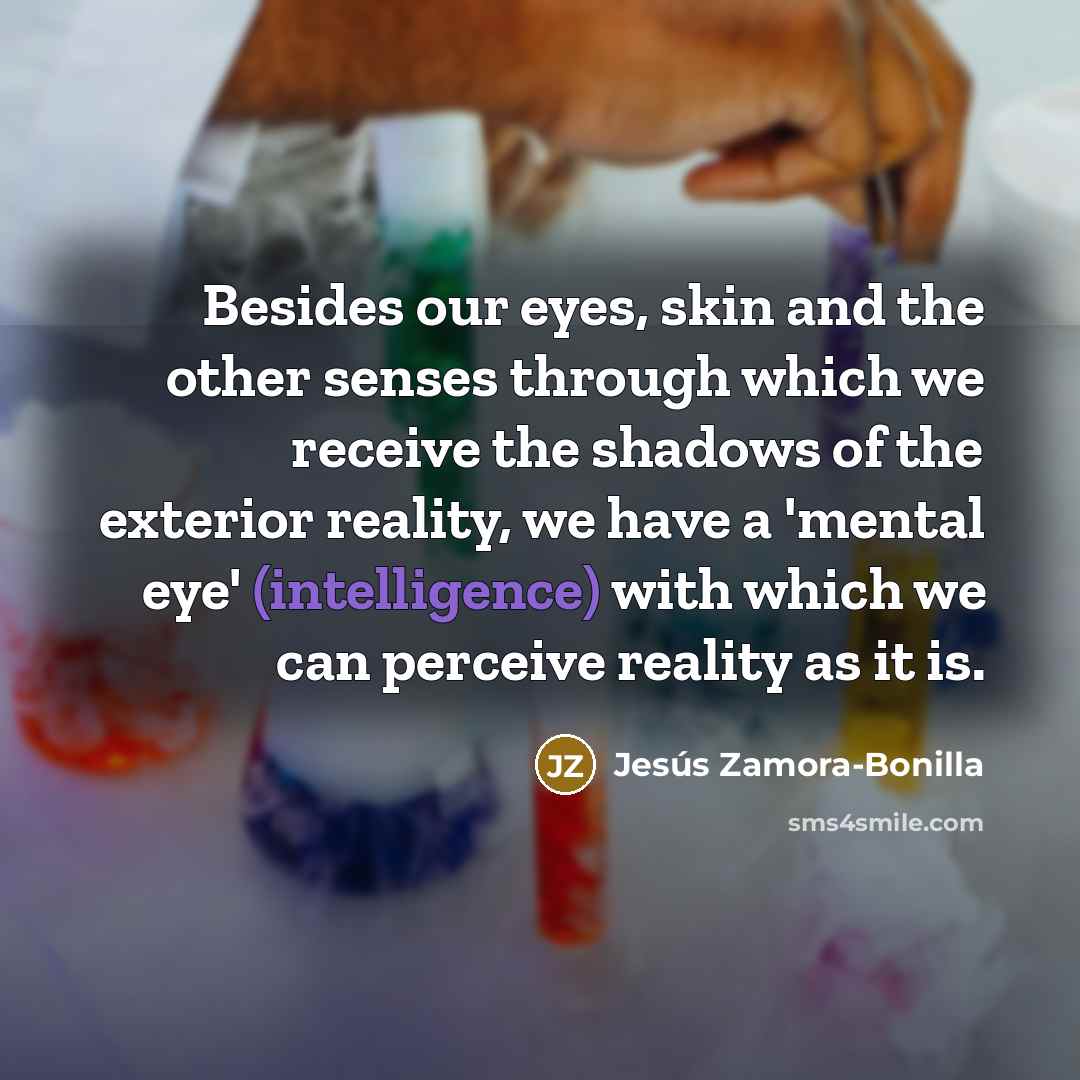 “Besides our eyes, skin and the other senses through which…” quote by Jesús Zamora-Bonilla