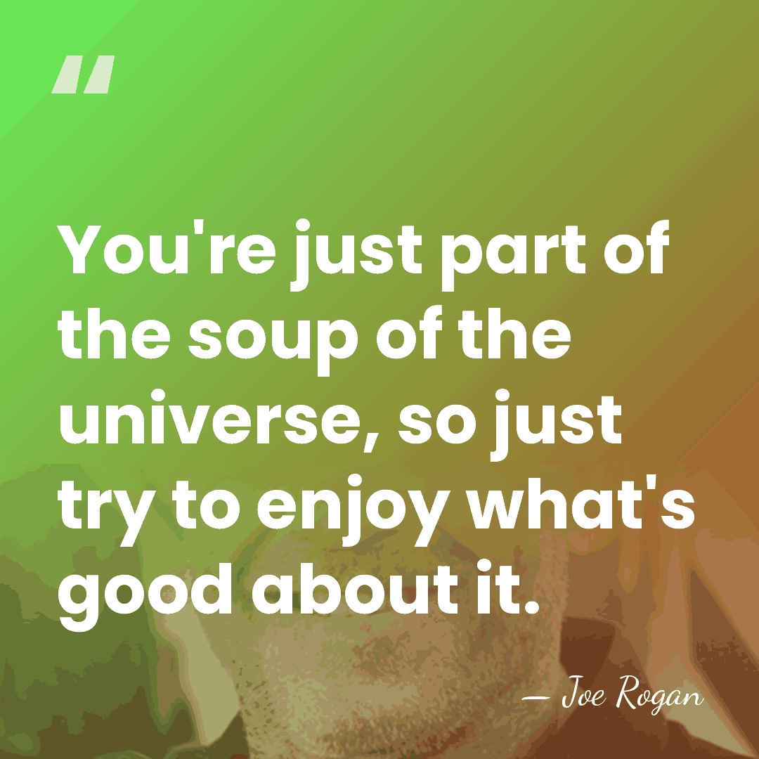 You're just part of the soup of the universe, so just try&hellip; - Joe Rogan