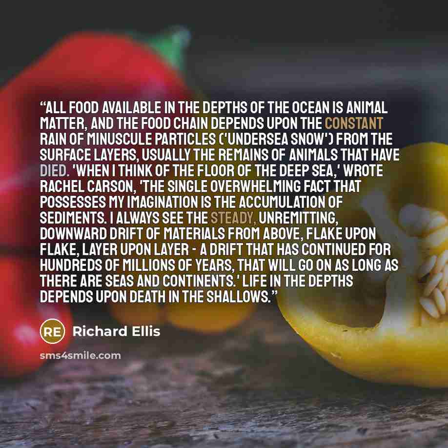 “All food available in the depths of the ocean is animal matter, and the food chain depends upon the constant rain of minuscule particles ('undersea snow') from the surface layers, usually the remains of animals that have died. 'When I think of the floor of the deep sea,' wrote Rachel Carson, 'the…” quote by Richard Ellis