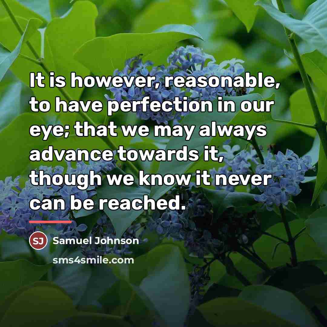 “It is however, reasonable, to have perfection in our eye;…” quote by Samuel Johnson