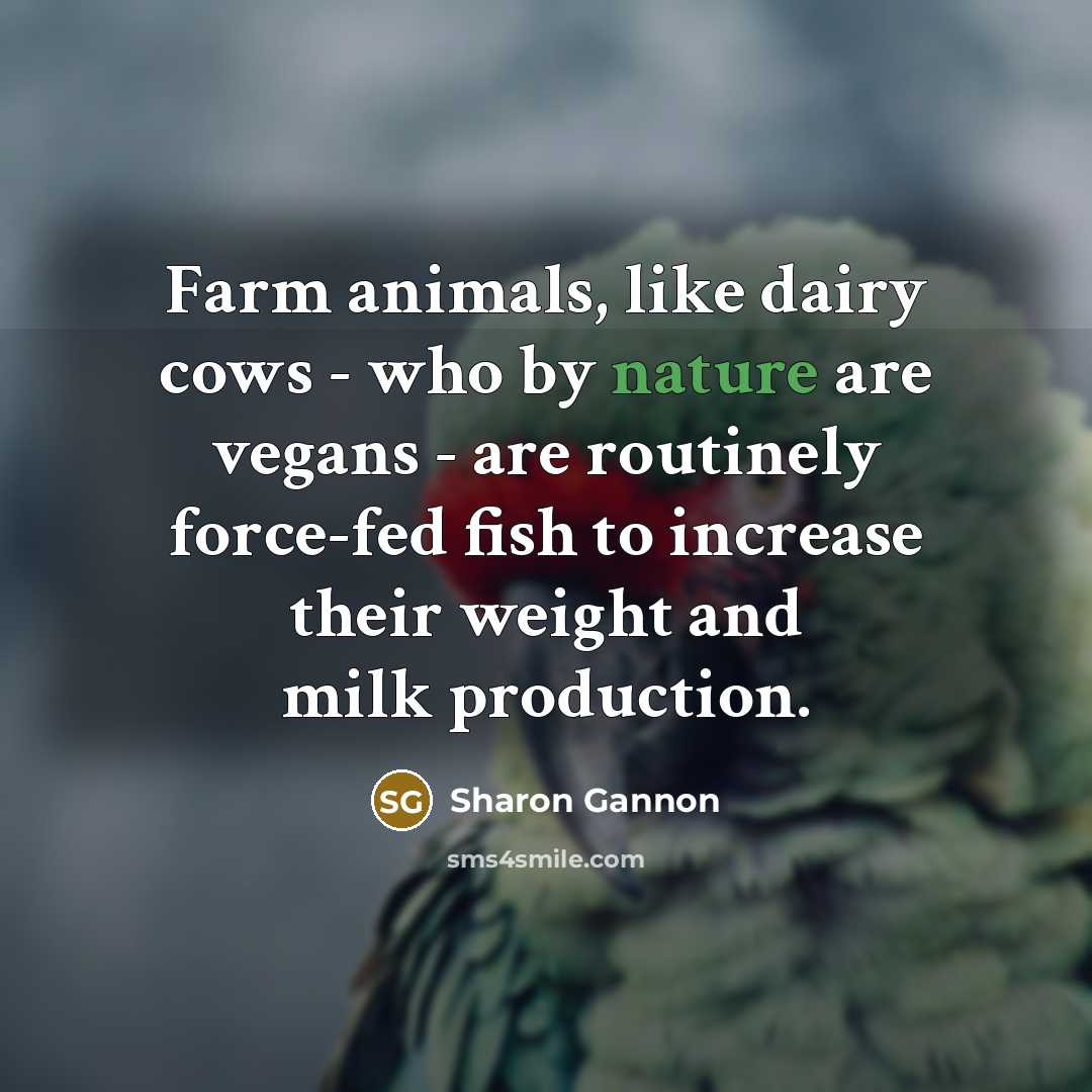 “Farm animals, like dairy cows - who by nature are…” quote by Sharon Gannon