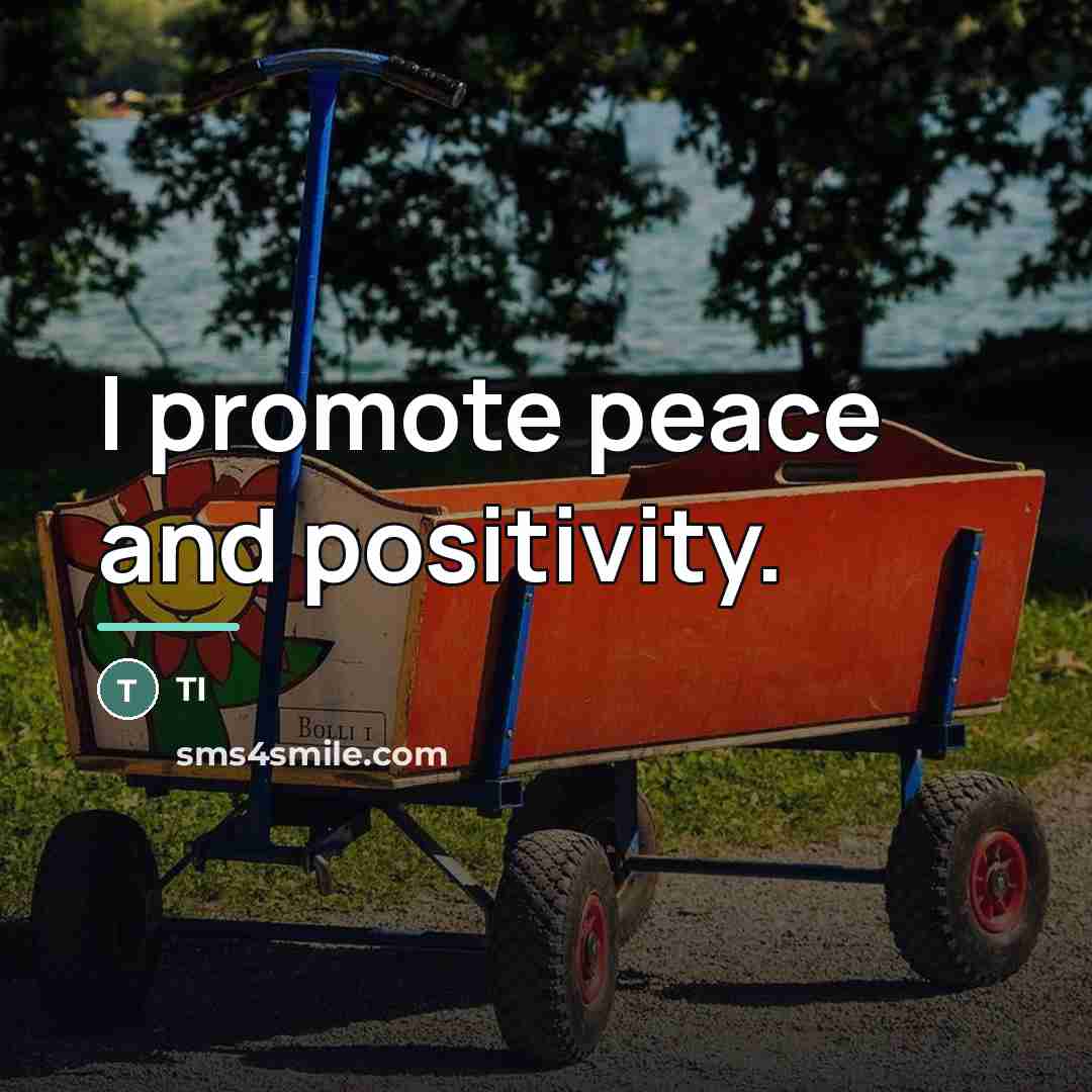 “I promote peace and positivity.…” quote by TI