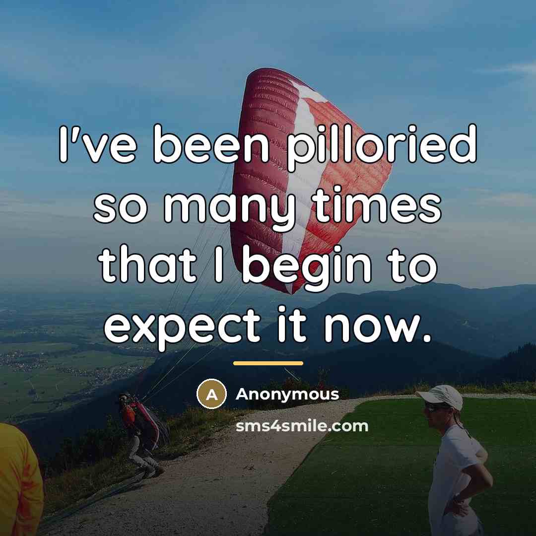 “I've been pilloried so many times that I begin to…” quote by Anonymous