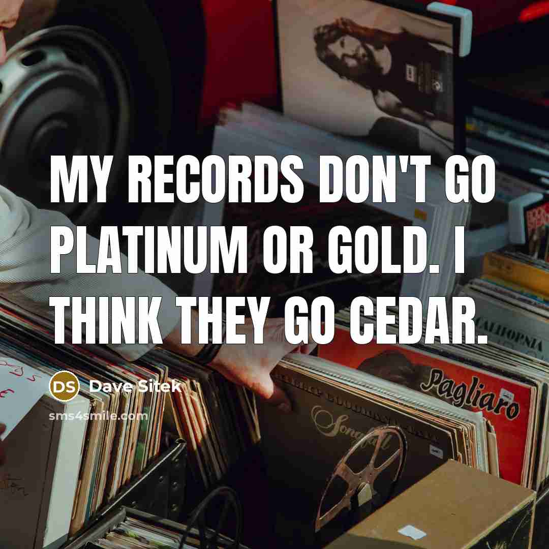 “My records don't go platinum or gold. I think they…” quote by Dave Sitek