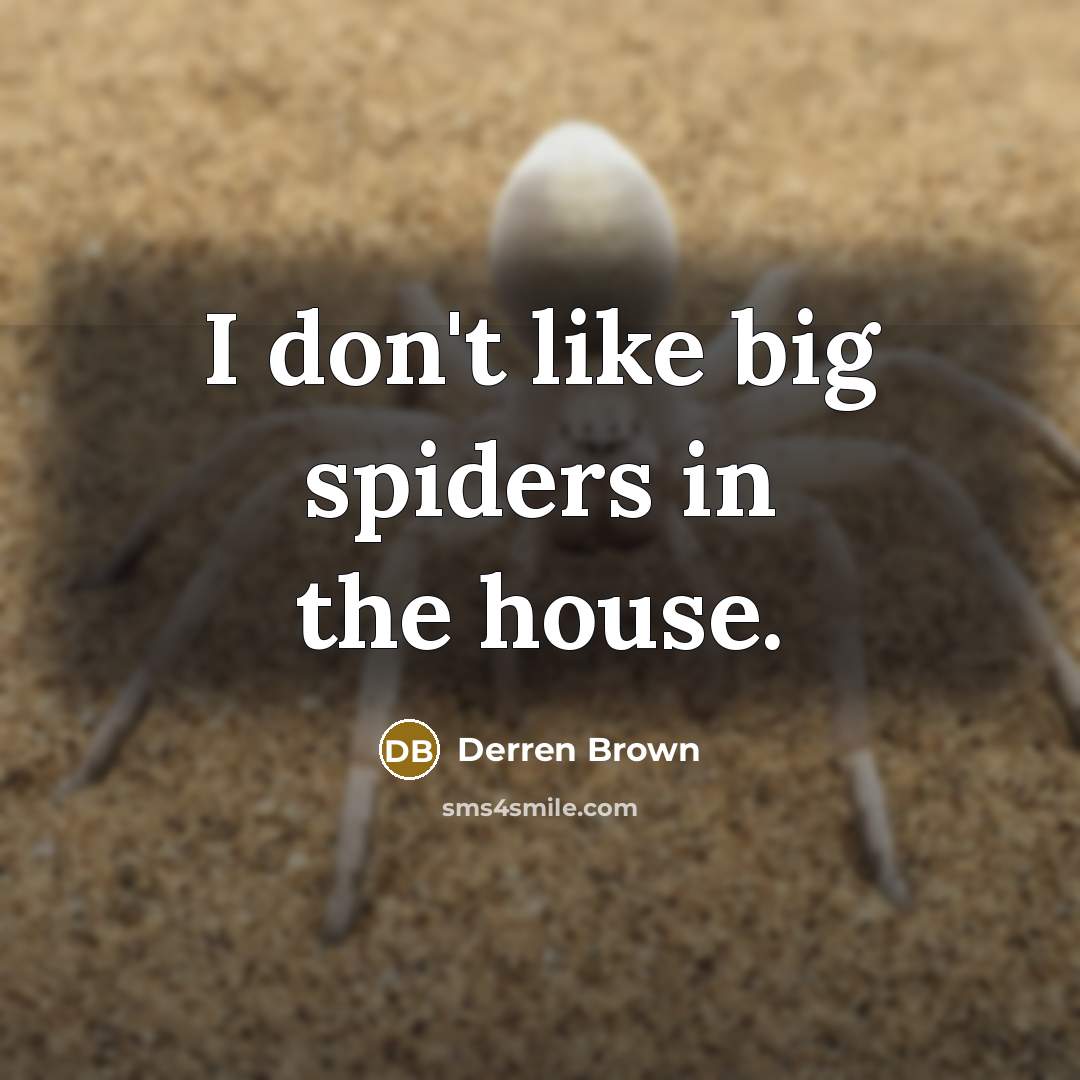 “I don't like big spiders in the house.…” quote by Derren Brown