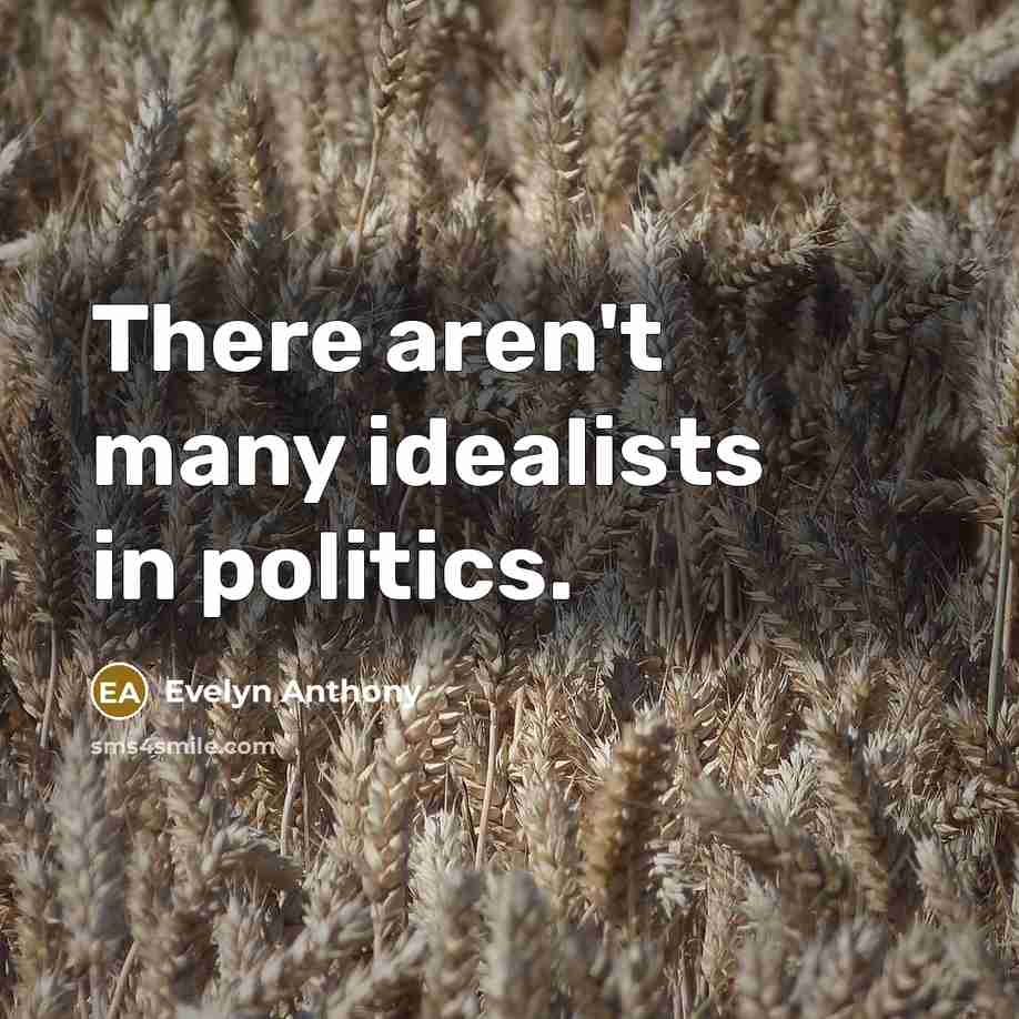 “There aren't many idealists in politics.…” quote by Evelyn Anthony