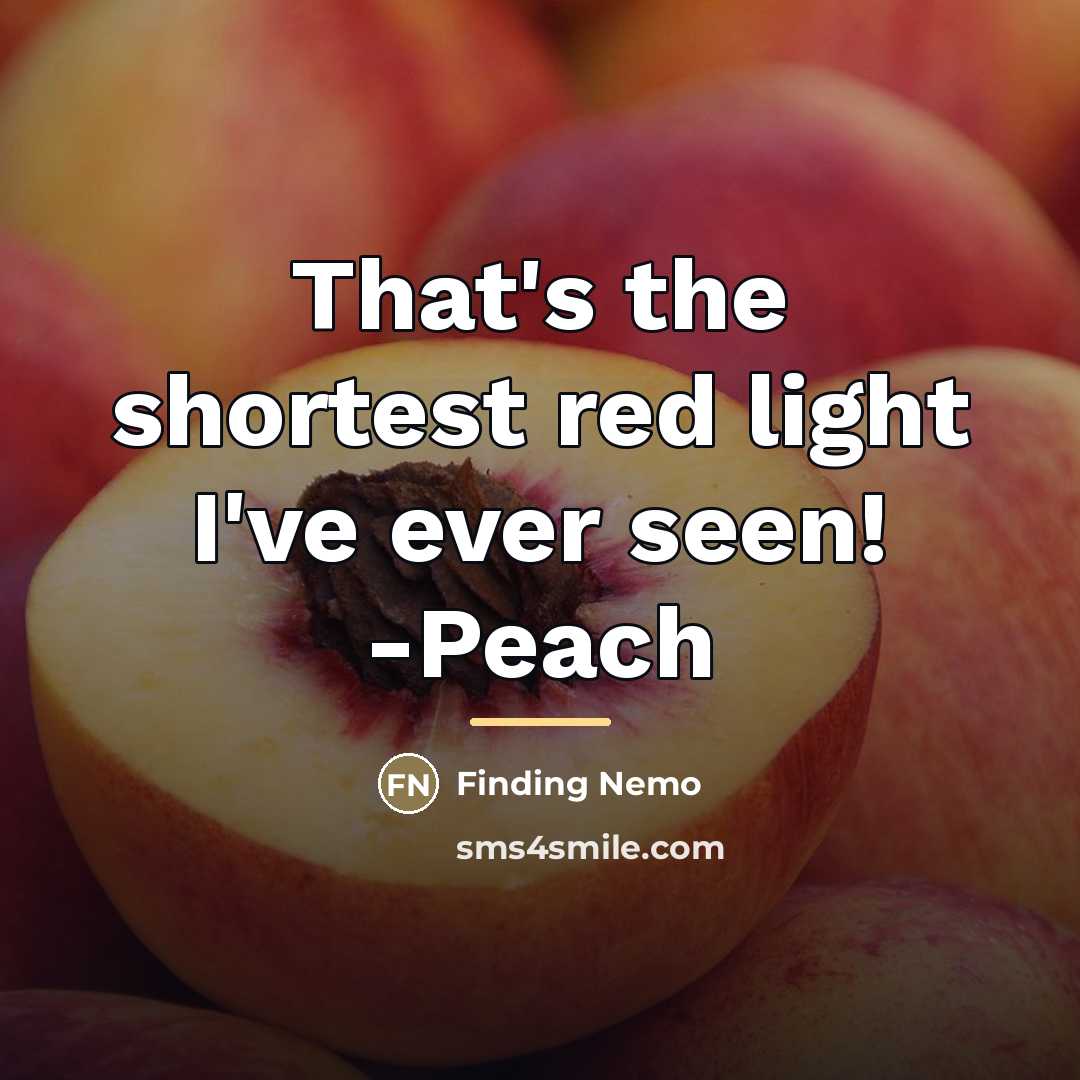 “That's the shortest red light I've ever seen! -Peach…” quote by Finding Nemo