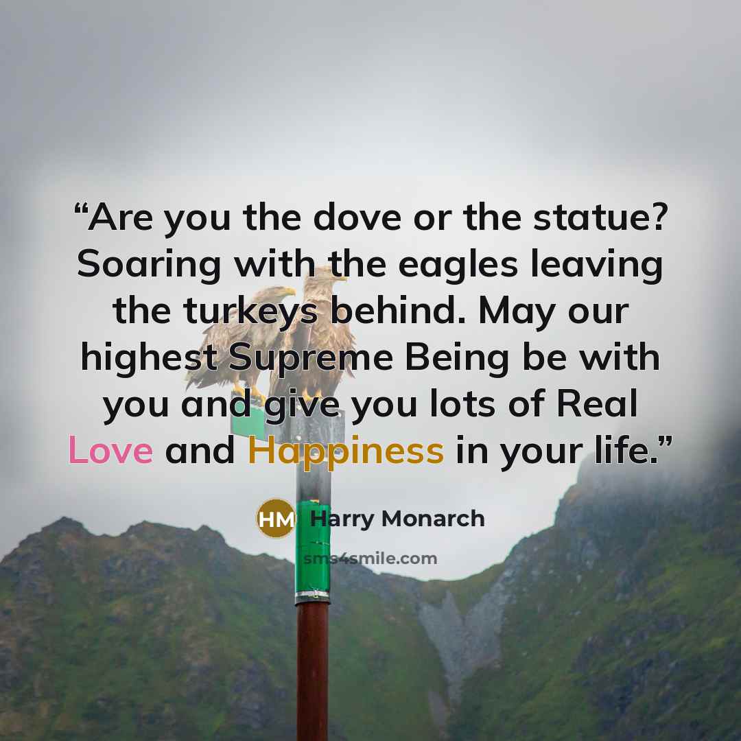 “Are you the dove or the statue? Soaring with the eagles leaving the turkeys behind. May our highest Supreme Being be with you and give you lots of Real Love and Happiness in your life.” quote by Harry Monarch