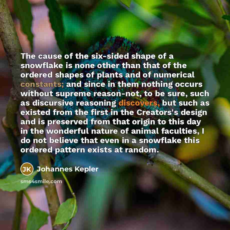 “The cause of the six-sided shape of a snowflake is…” quote by Johannes Kepler