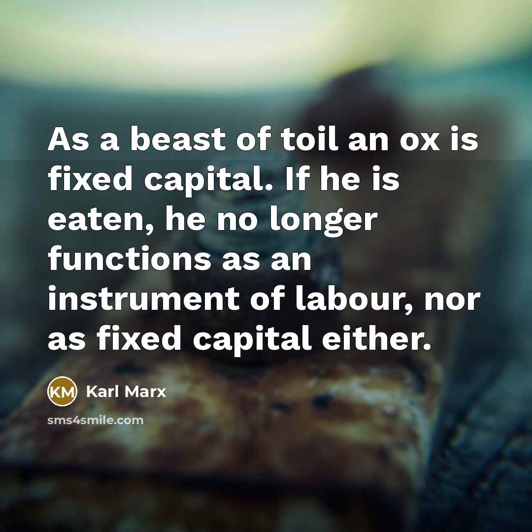 “As a beast of toil an ox is fixed capital.…” quote by Karl Marx