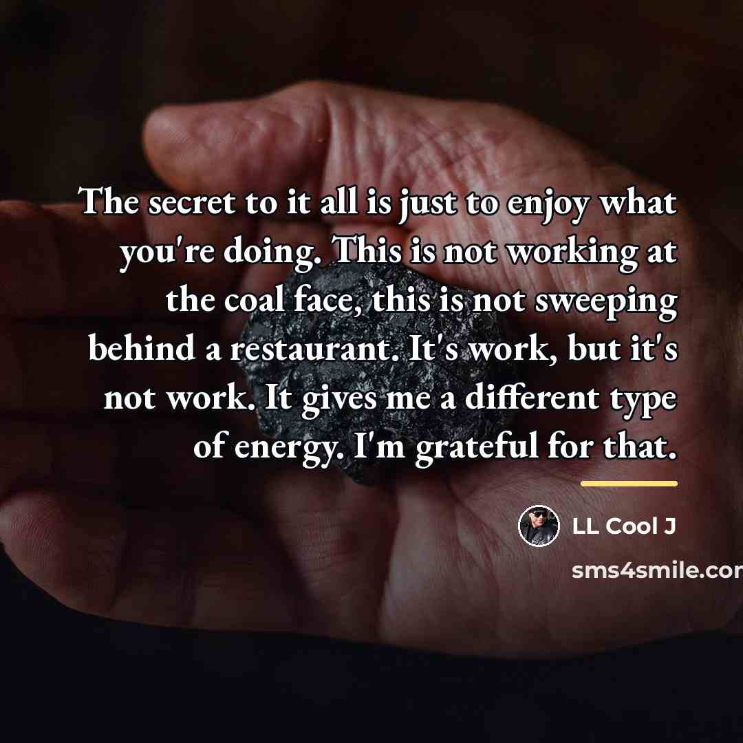 “The secret to it all is just to enjoy what…” quote by LL Cool J