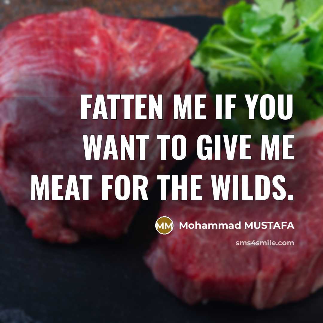 “Fatten me if you want to give me meat for…” quote by Mohammad MUSTAFA