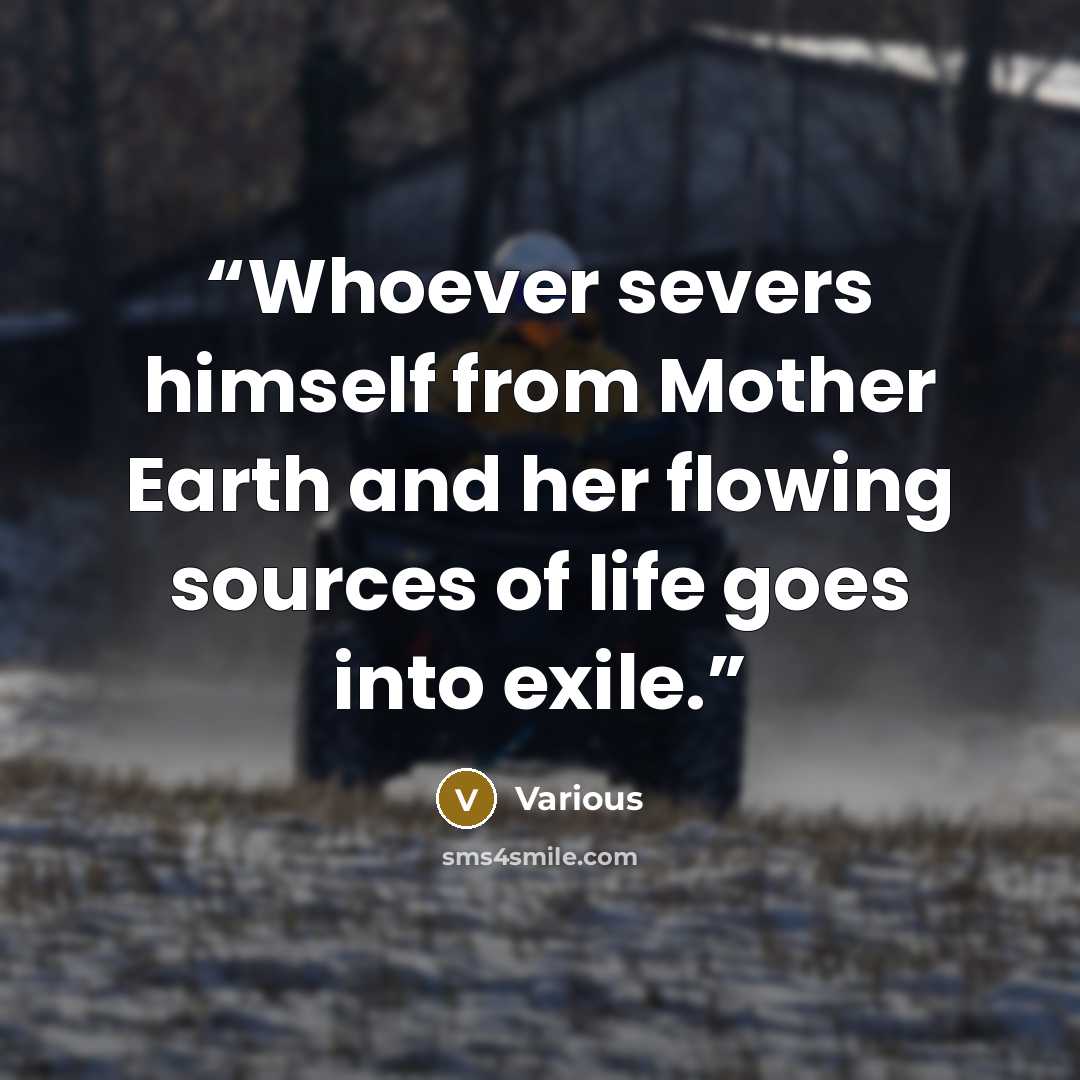“Whoever severs himself from Mother Earth and her flowing sources of life goes into exile.” quote by Various