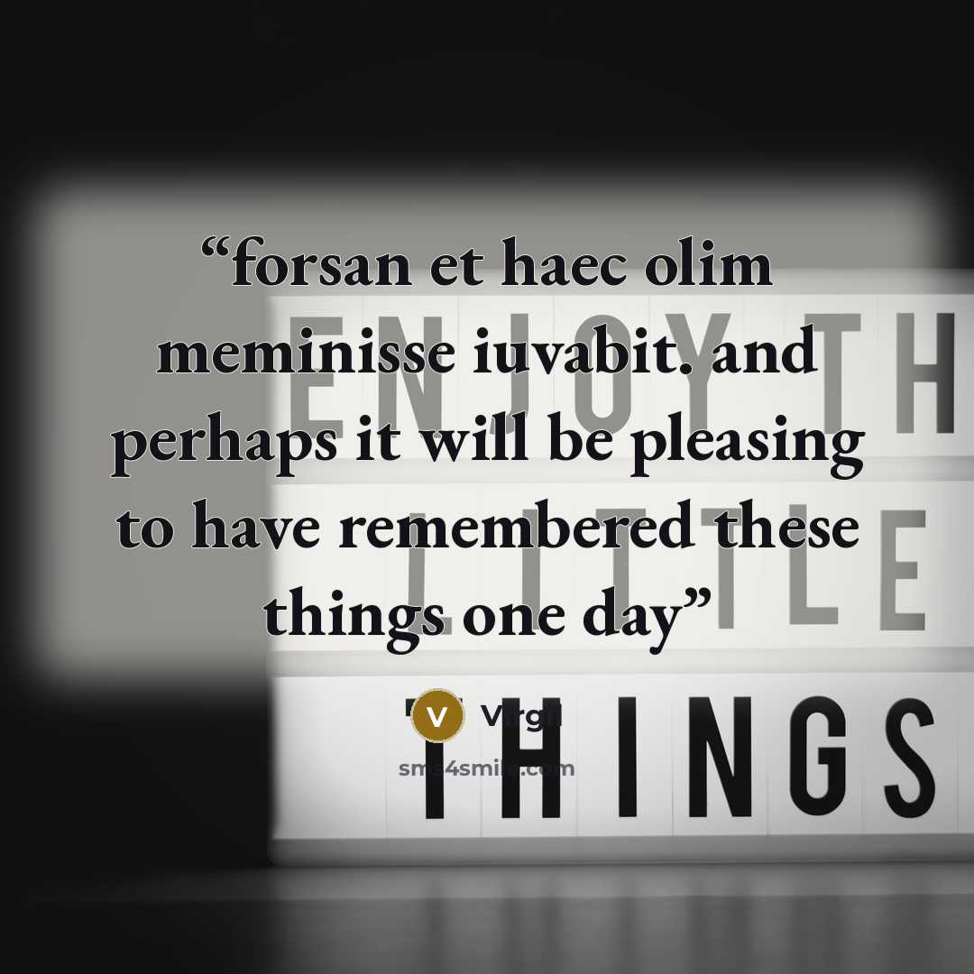 “forsan et haec olim meminisse iuvabit. and perhaps it will be pleasing to have remembered these things one day” quote by Virgil