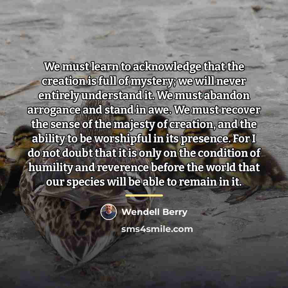 “We must learn to acknowledge that the creation is full…” quote by Wendell Berry