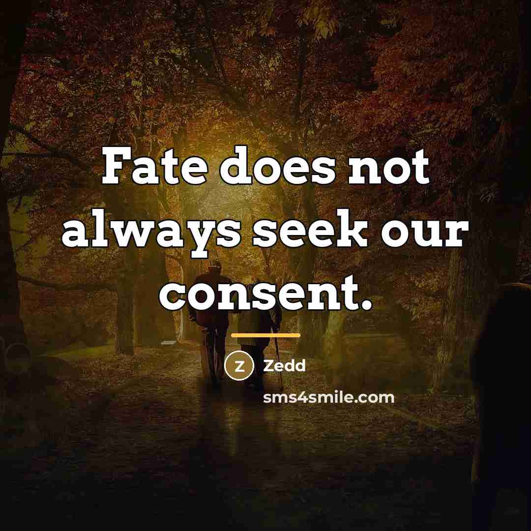 “Fate does not always seek our consent.…” quote by Zedd
