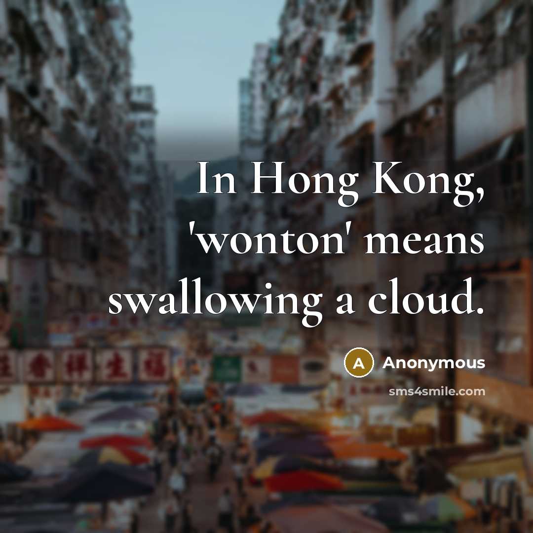 “In Hong Kong, 'wonton' means swallowing a cloud.…” quote by Anonymous