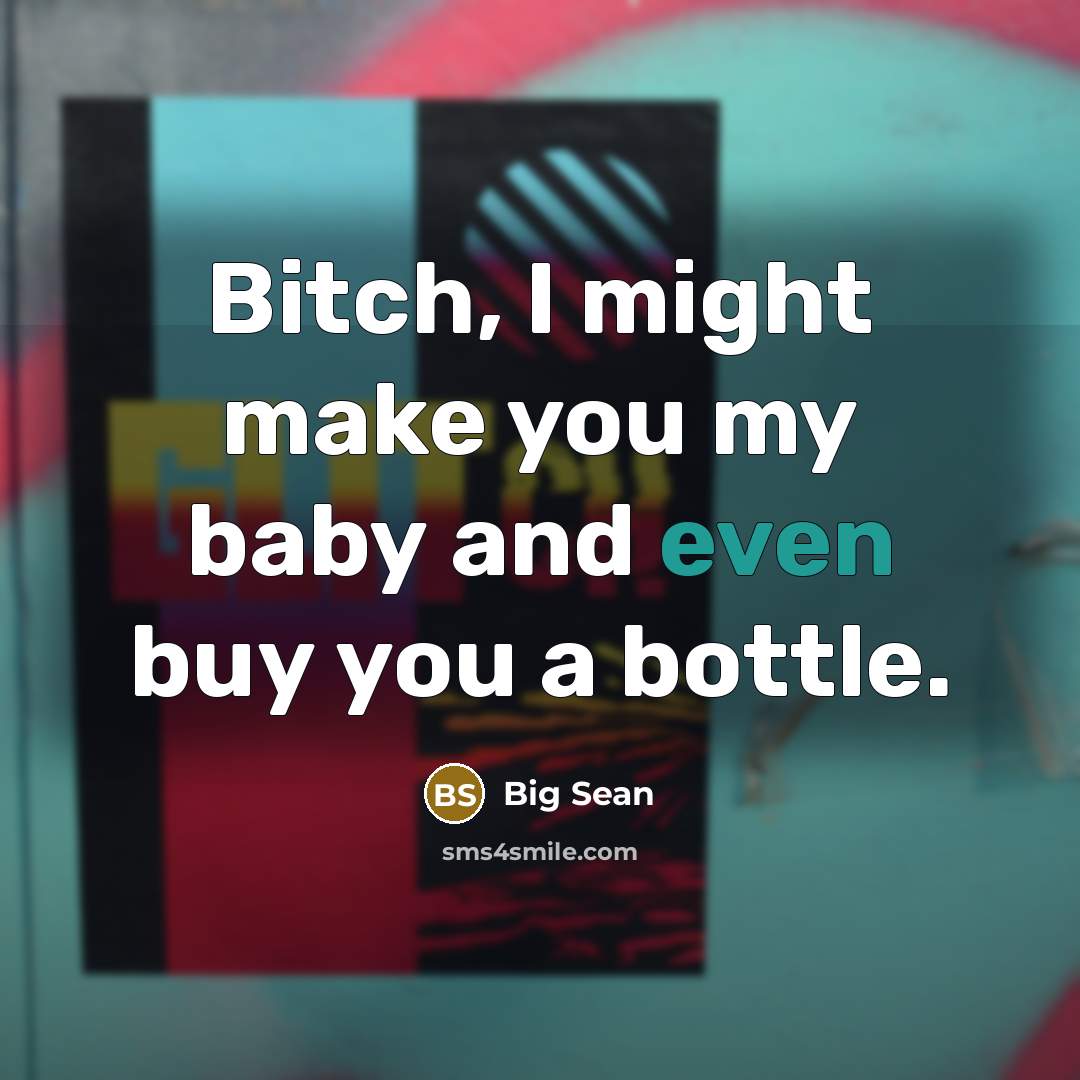 “Bitch, I might make you my baby and even buy…” quote by Big Sean