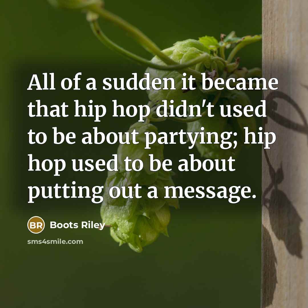 “All of a sudden it became that hip hop didn't…” quote by Boots Riley
