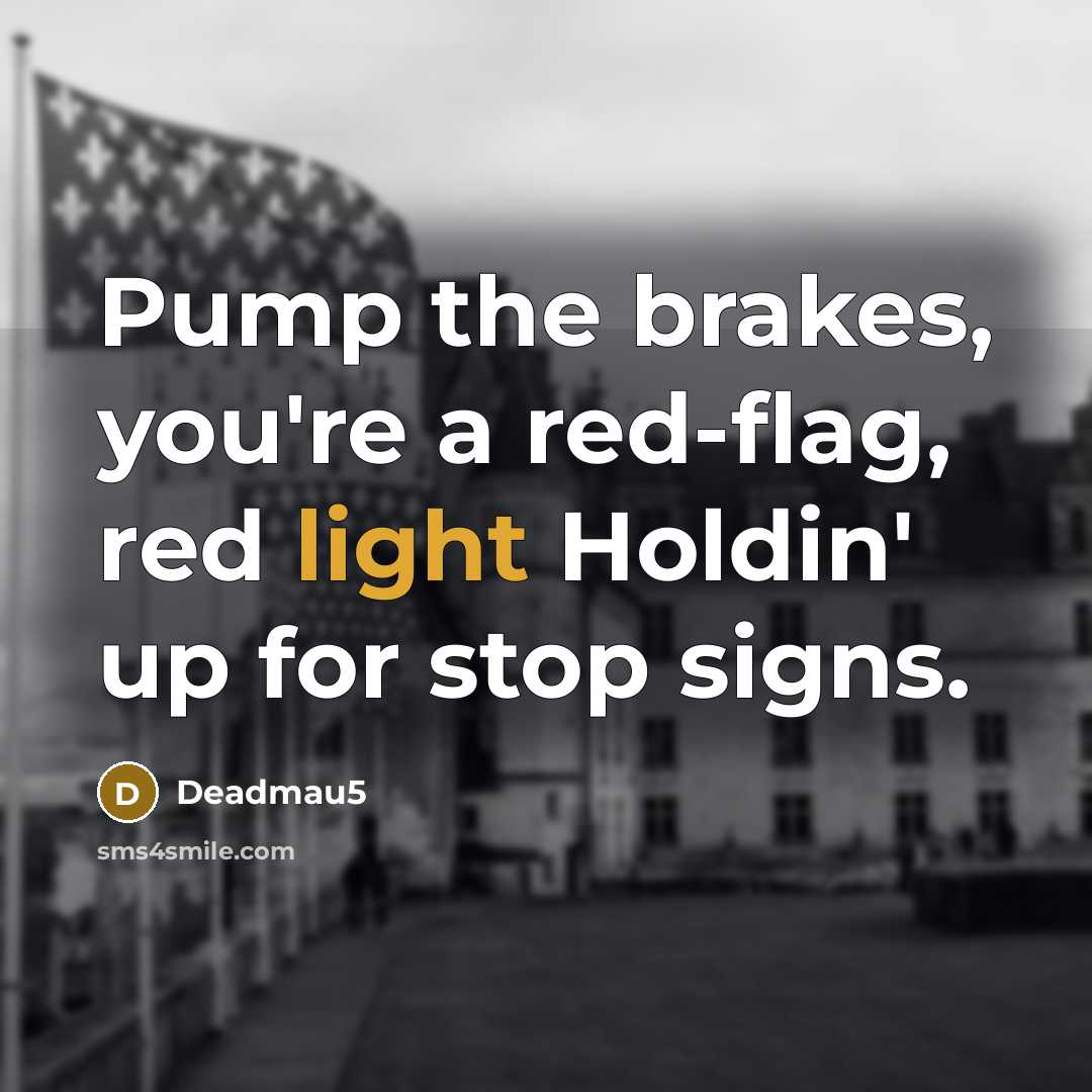 “Pump the brakes, you're a red-flag, red light Holdin' up…” quote by Deadmau5