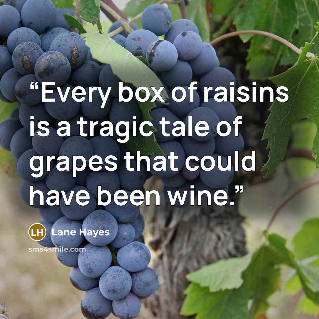 “Every box of raisins is a tragic tale of grapes that could have been wine.” quote by Lane Hayes