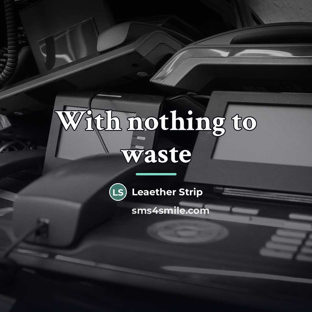 “With nothing to waste…” quote by Leaether Strip