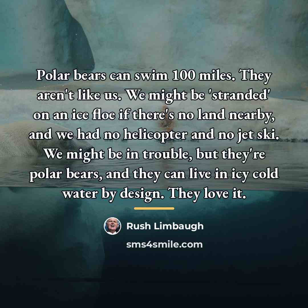 “Polar bears can swim 100 miles. They aren't like us.…” quote by Rush Limbaugh