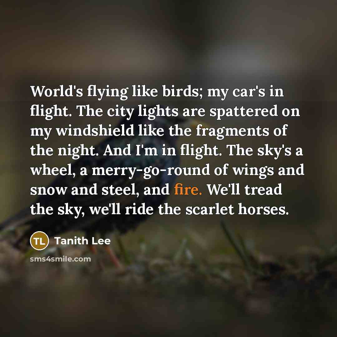 “World's flying like birds; my car's in flight. The city…” quote by Tanith Lee