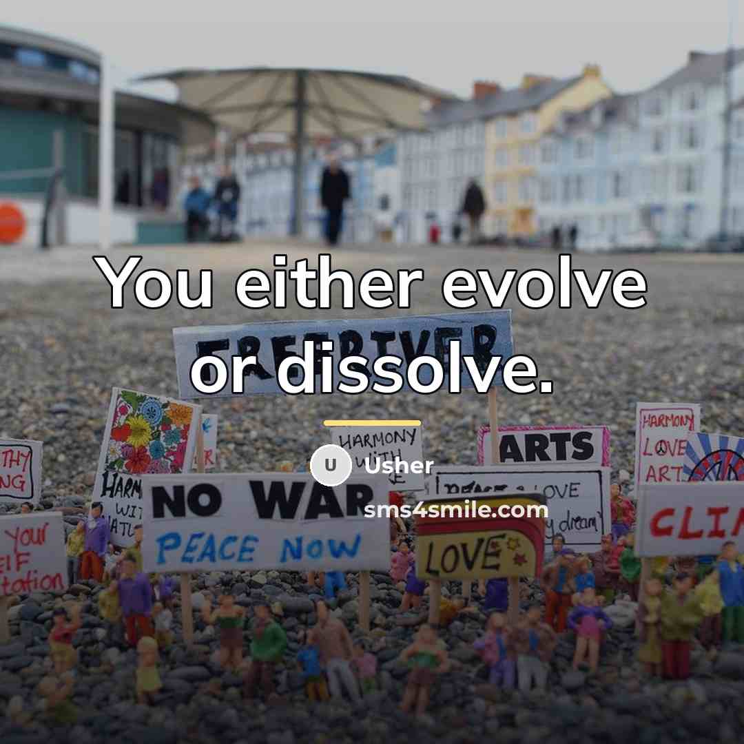 “You either evolve or dissolve.…” quote by Usher
