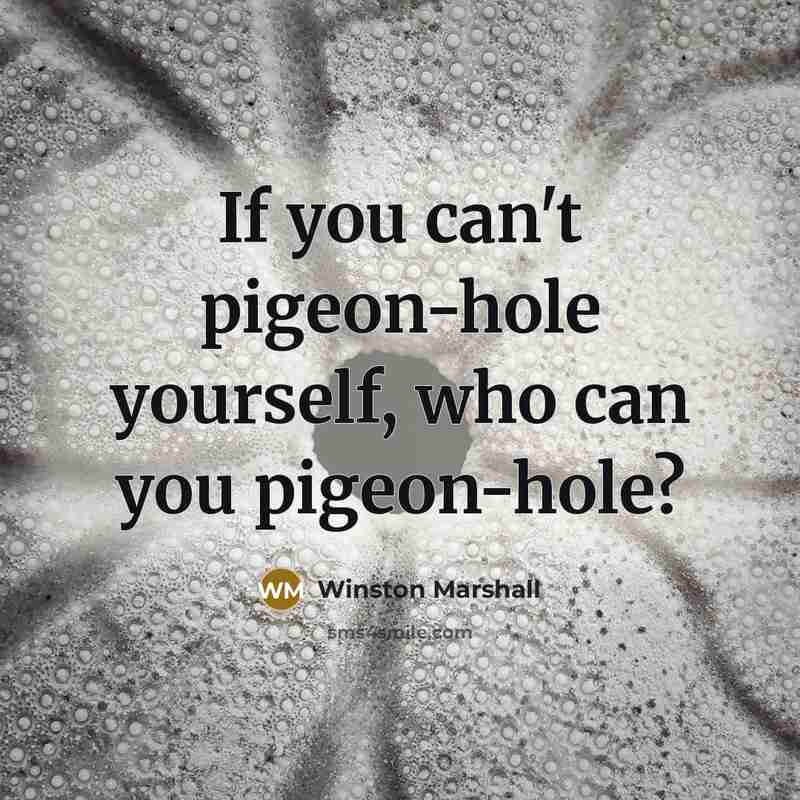 “If you can't pigeon-hole yourself, who can you pigeon-hole?…” quote by Winston Marshall