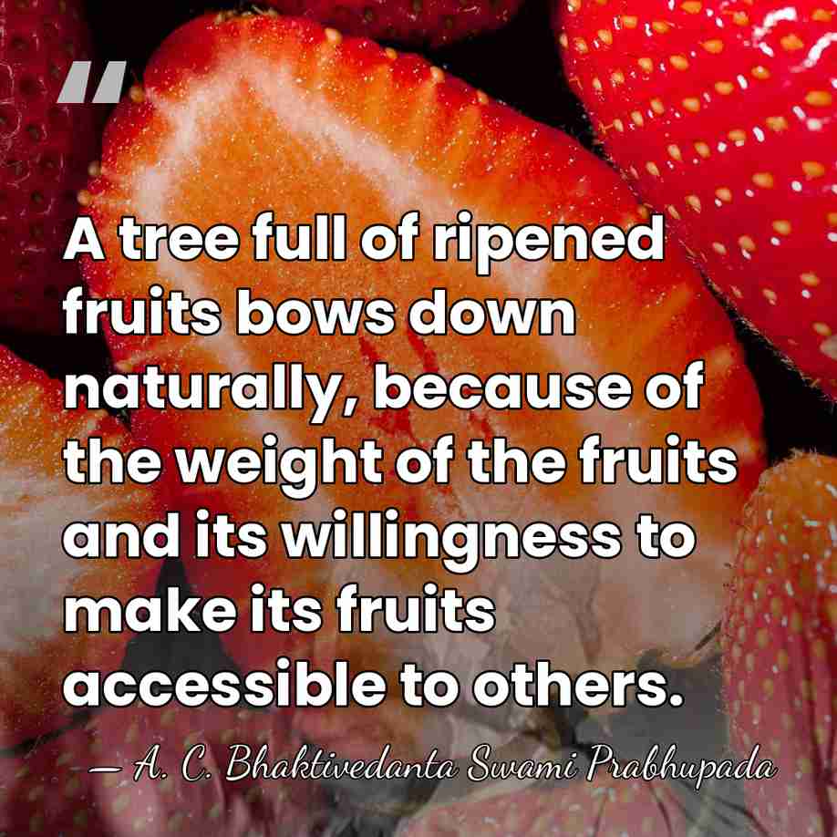 A tree full of ripened fruits bows down naturally, because of the&hellip; - A. C. Bhaktivedanta Swami Prabhupada