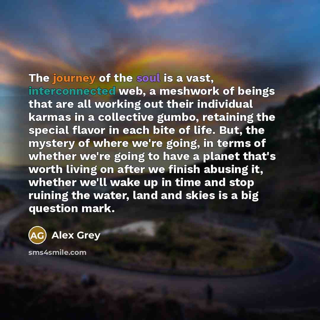 “The journey of the soul is a vast, interconnected web,…” quote by Alex Grey
