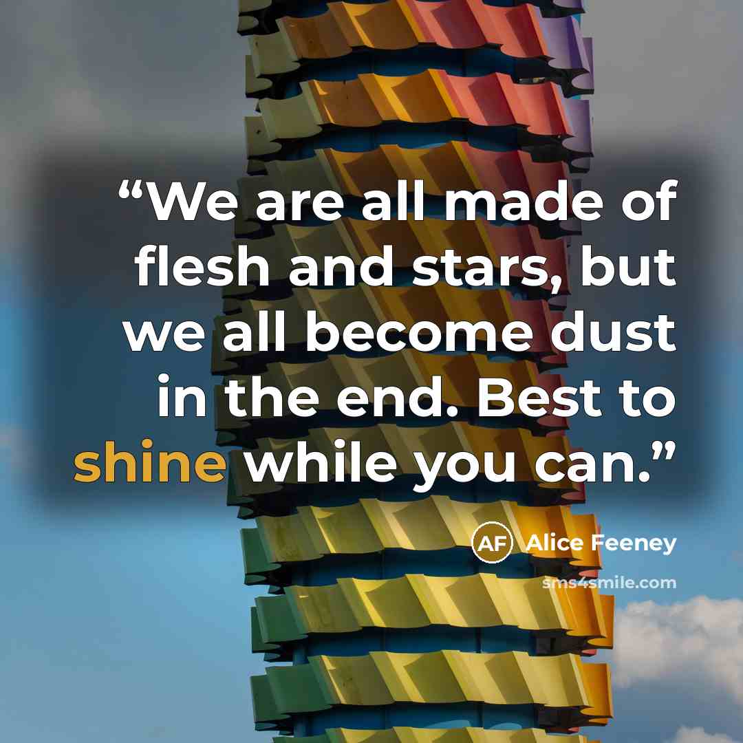“We are all made of flesh and stars, but we all become dust in the end. Best to shine while you can.” quote by Alice Feeney