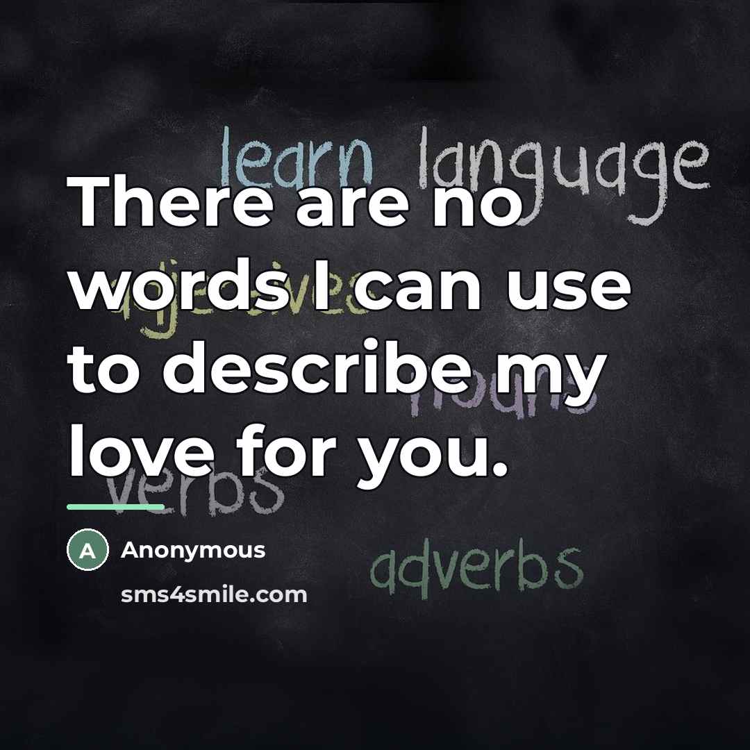 “There are no words I can use to describe my love for you.” quote by Anonymous