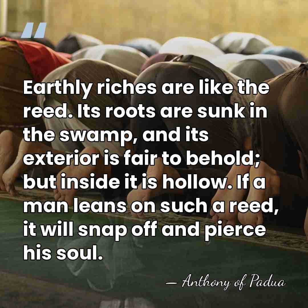 Earthly riches are like the reed. Its roots are sunk in the&hellip; - Anthony of Padua
