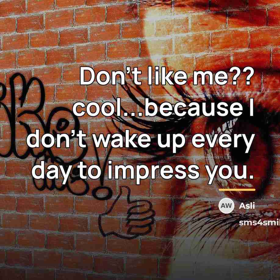 “Don't like me?? cool...because I don't wake up every day…” quote by Asli